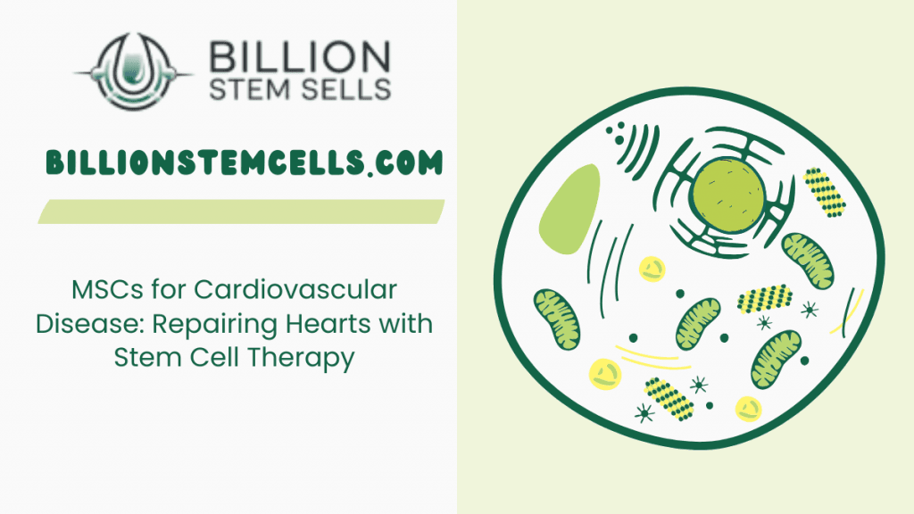 MSCs for Cardiovascular Disease Repairing Hearts with Stem Cell Therapy