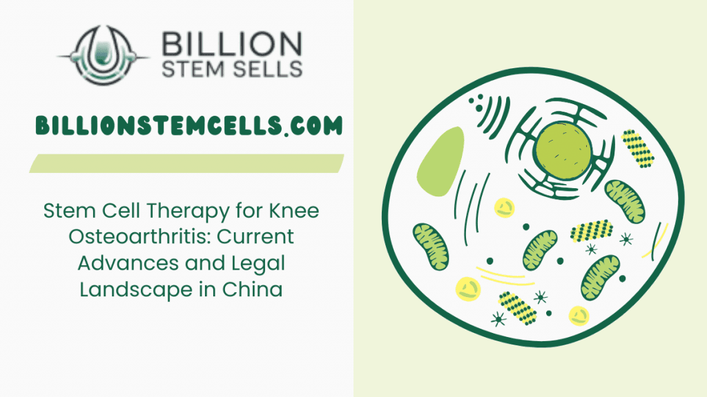 Thérapie par cellules souches pour l'arthrose du genou : avancées actuelles et paysage juridique en Chine