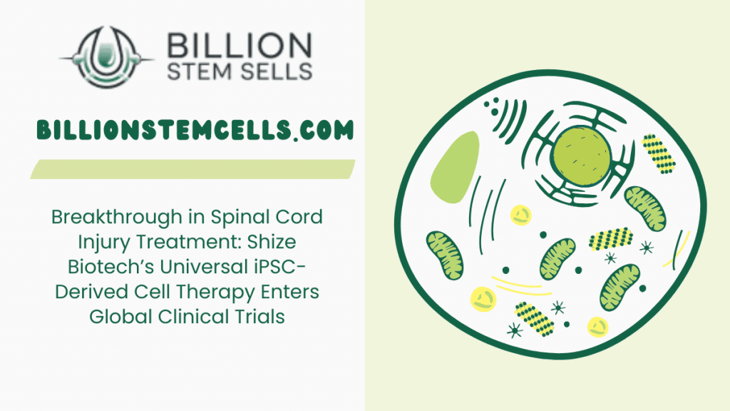 Une avancée majeure dans le traitement des lésions de la moelle épinière : la thérapie cellulaire universelle dérivée des cellules iPSC de Shize Biotech entre dans les essais cliniques mondiaux