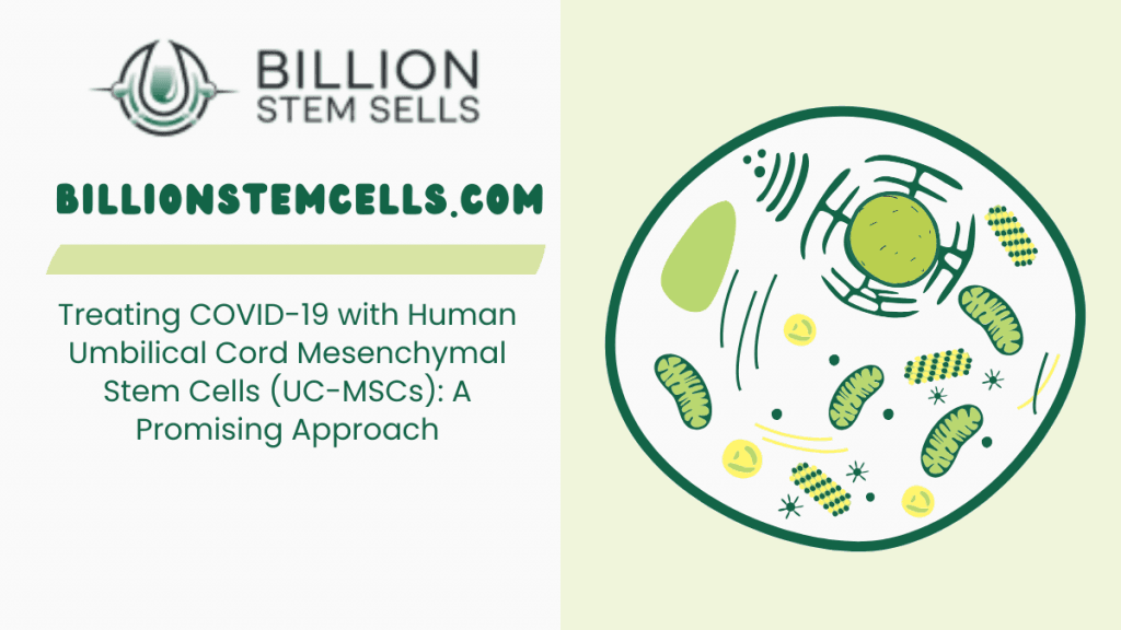 Traitement de la COVID-19 avec des cellules souches mésenchymateuses de cordon ombilical humain (UC-MSC) : une approche prometteuse